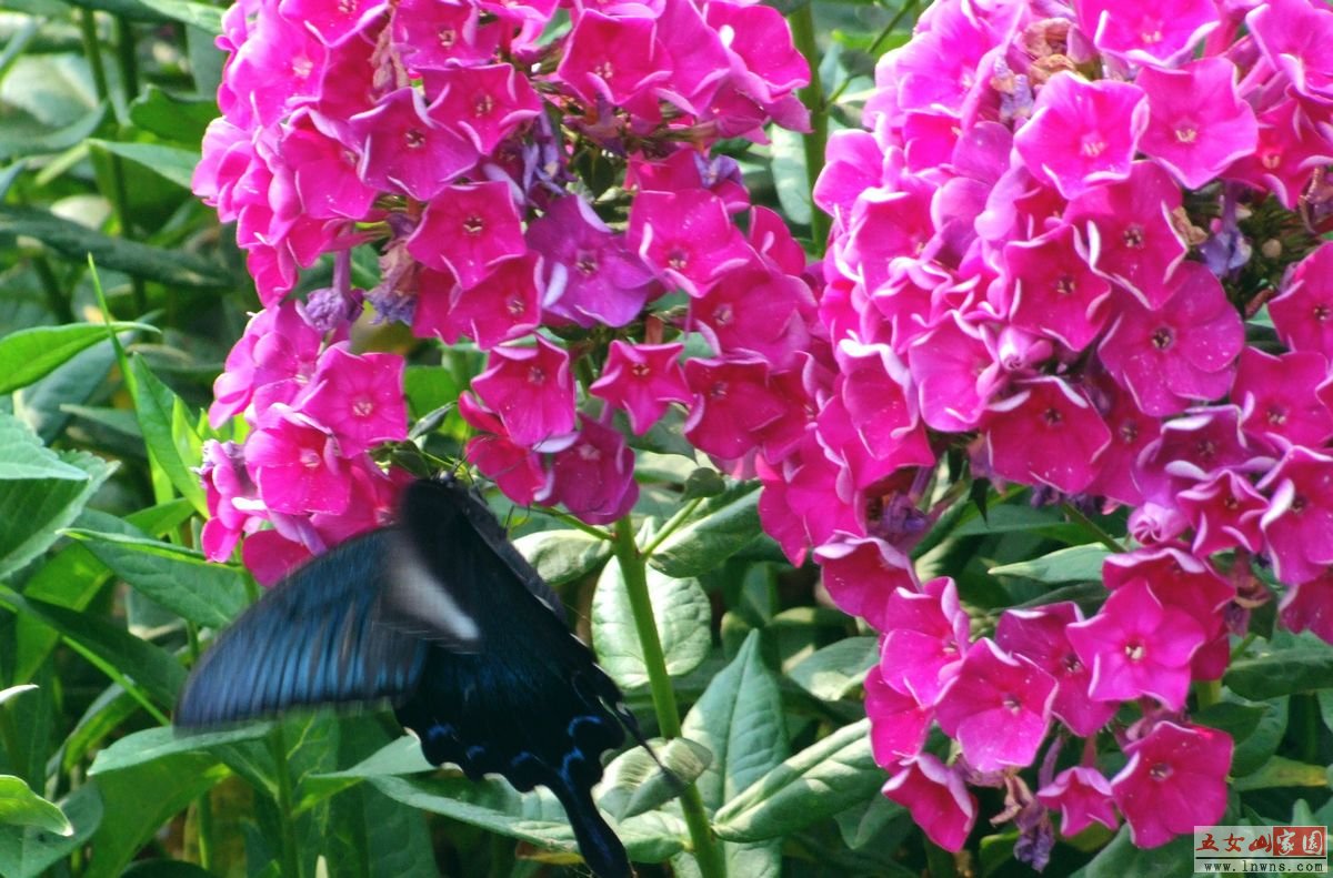 DSCF1322.jpg