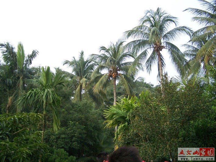 100_0921.JPG
