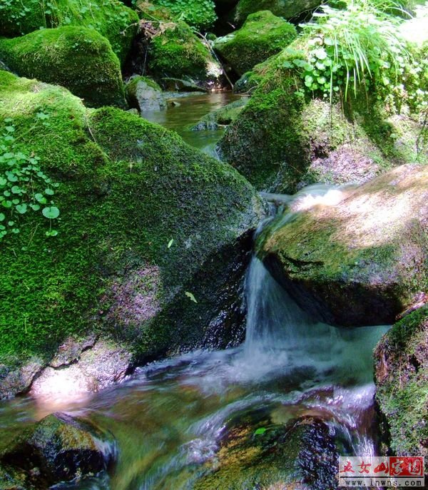 DSCF0873.jpg