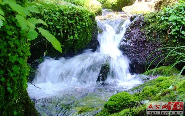 DSCF0858.jpg