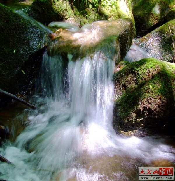 DSCF0872.jpg