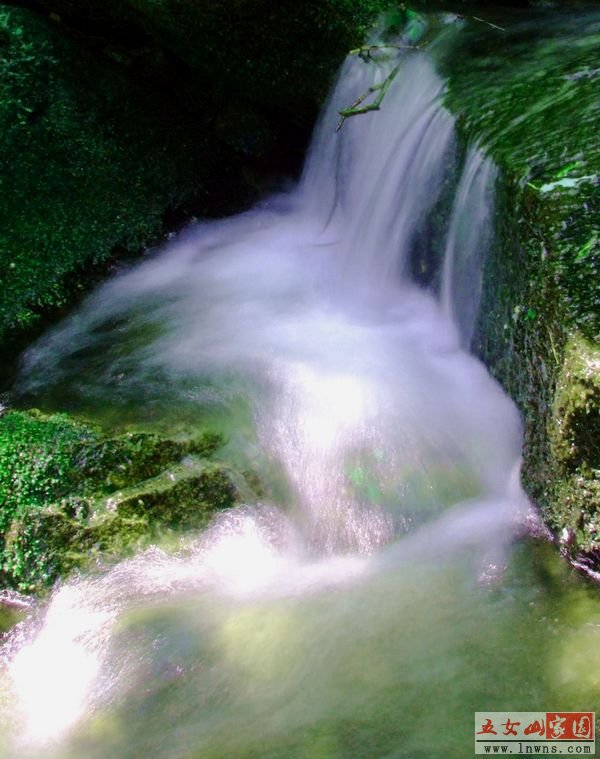 DSCF0847.jpg
